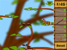 Caterpillar Climbing Caper
